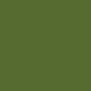 CYT485 OLIVE GREEN